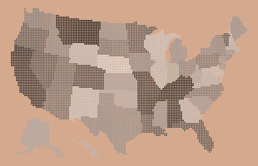 demographics-in-zip-code-60611